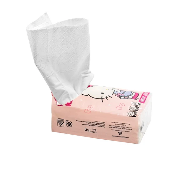SANRIO-PANUELOS-DESECHABLES-FLAWLESS-HELLO-KITTY-MULTICOLOR3